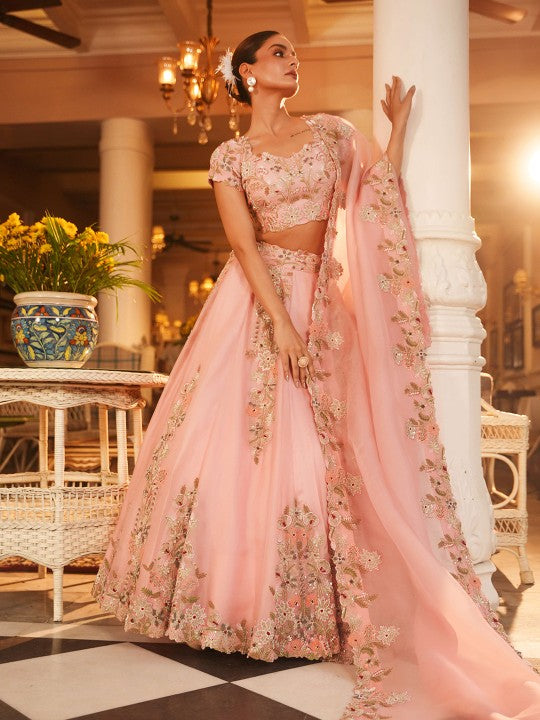 Embroidered Made to Measure Organza Lehenga & Blouse With Dupatta
